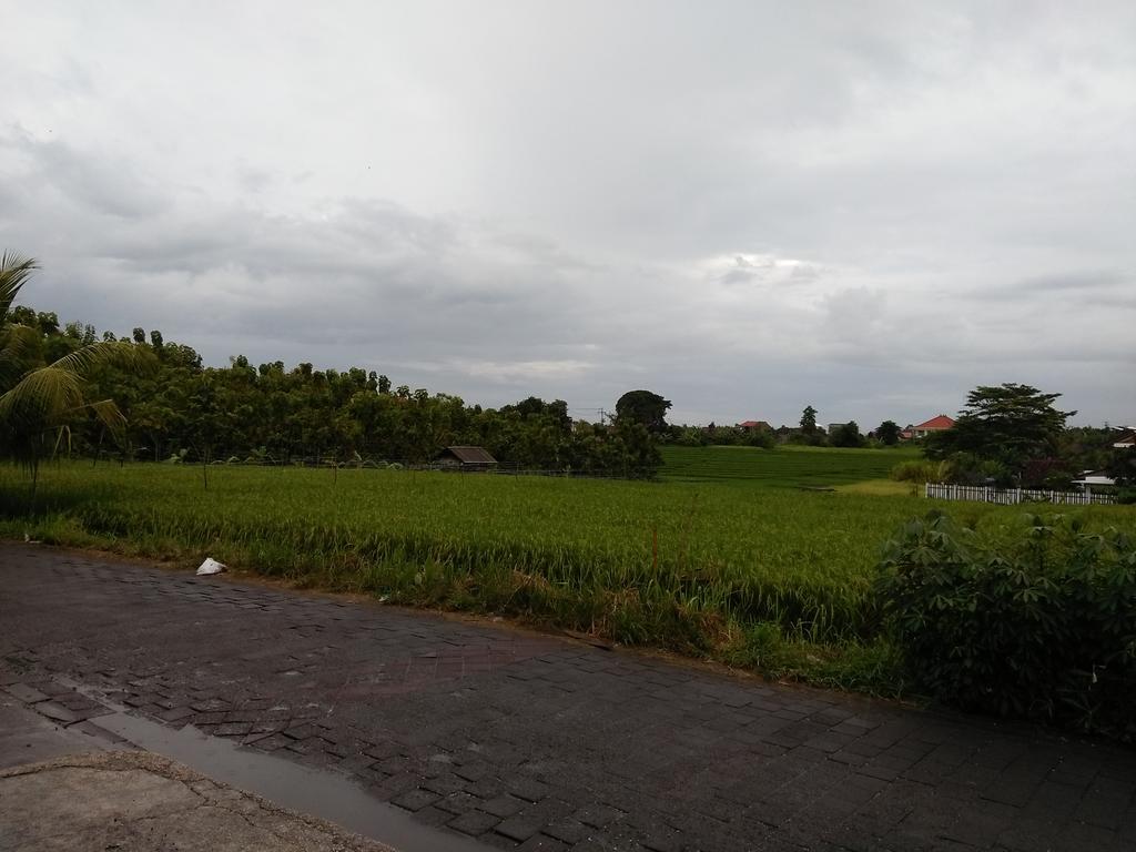 The Wina Guest House 2 Canggu  Exterior photo