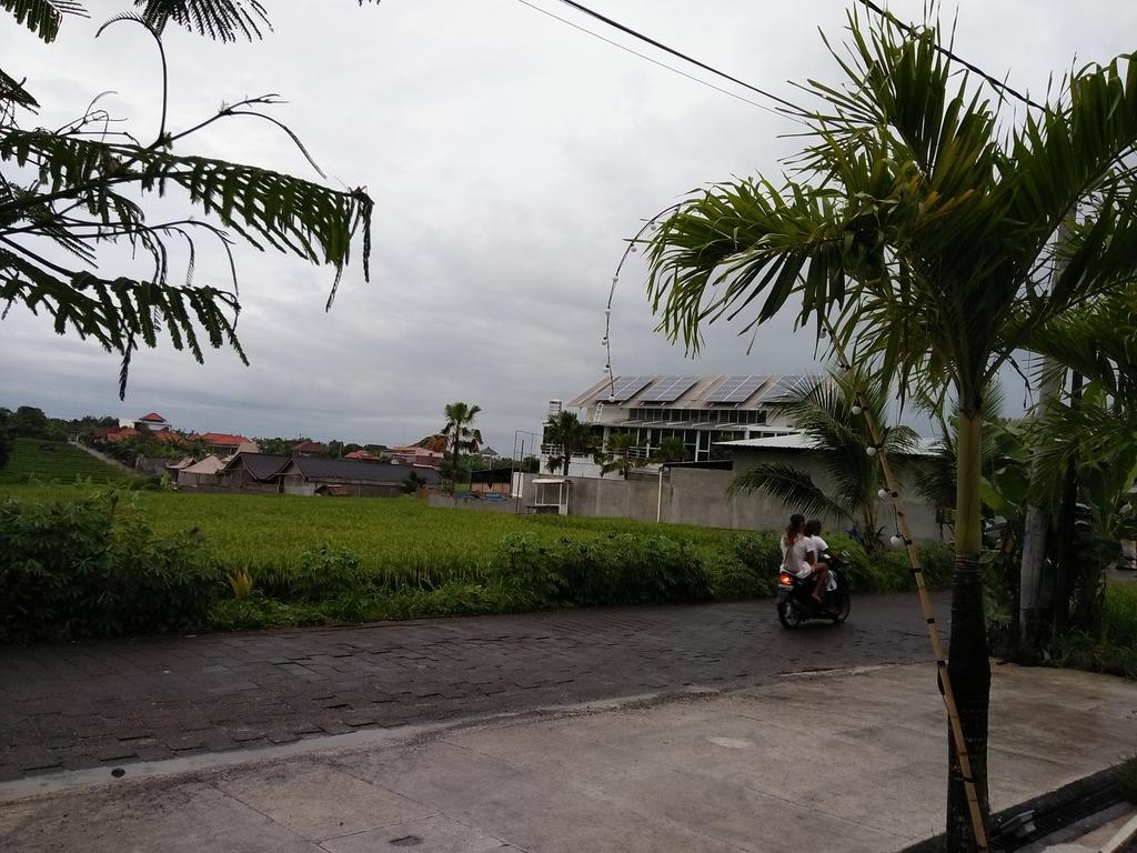 The Wina Guest House 2 Canggu  Exterior photo