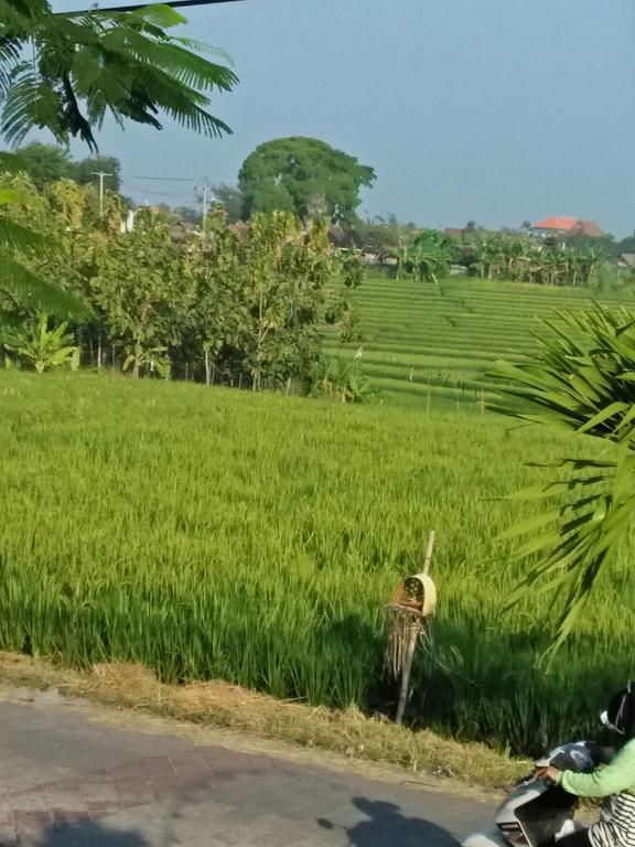 The Wina Guest House 2 Canggu  Exterior photo
