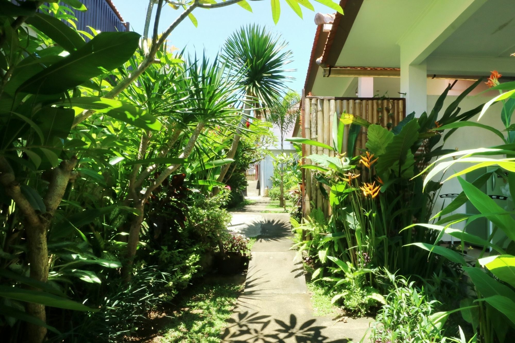 The Wina Guest House 2 Canggu  Exterior photo